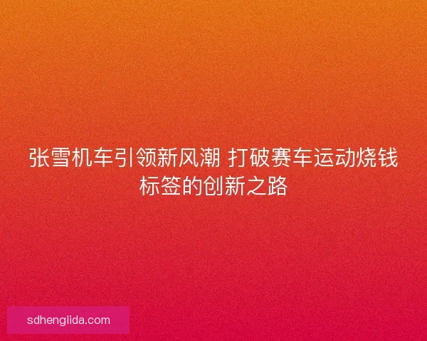 张雪机车引领新风潮 打破赛车运动烧钱标签的创新之路